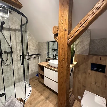 Pod Czarnym Bocianem Apartment Kudowa Zdroj