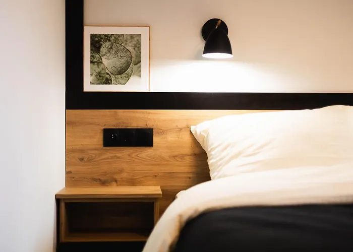 Pod Czarnym Bocianem كودوفا- زدروي