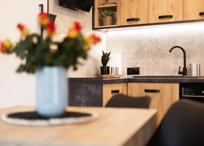 شقة Pod Czarnym Bocianem *