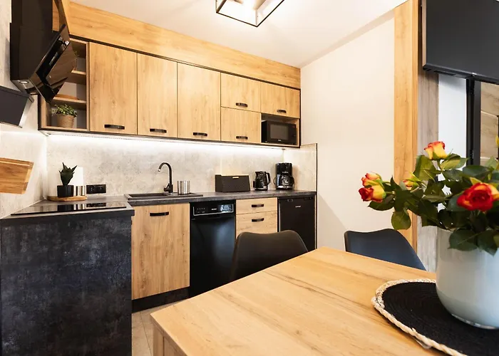 Pod Czarnym Bocianem شقة