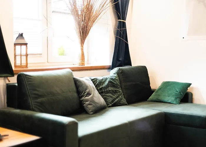 شقة Pod Czarnym Bocianem *