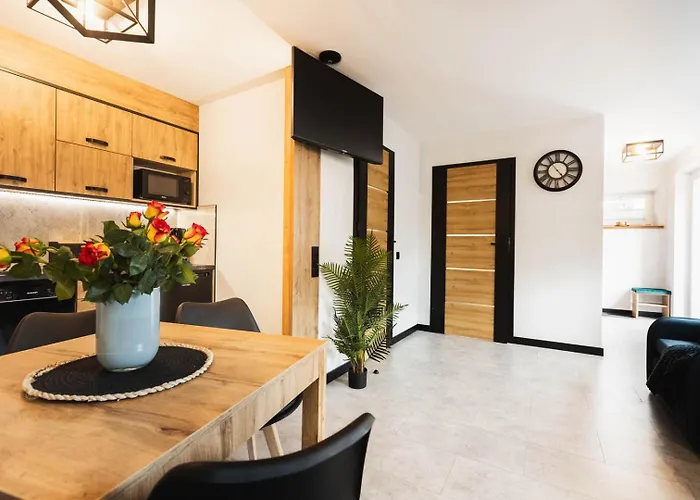 Pod Czarnym Bocianem كودوفا- زدروي